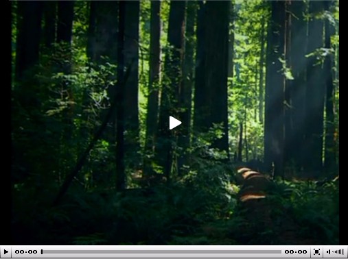 環保低碳板材深得消費者心